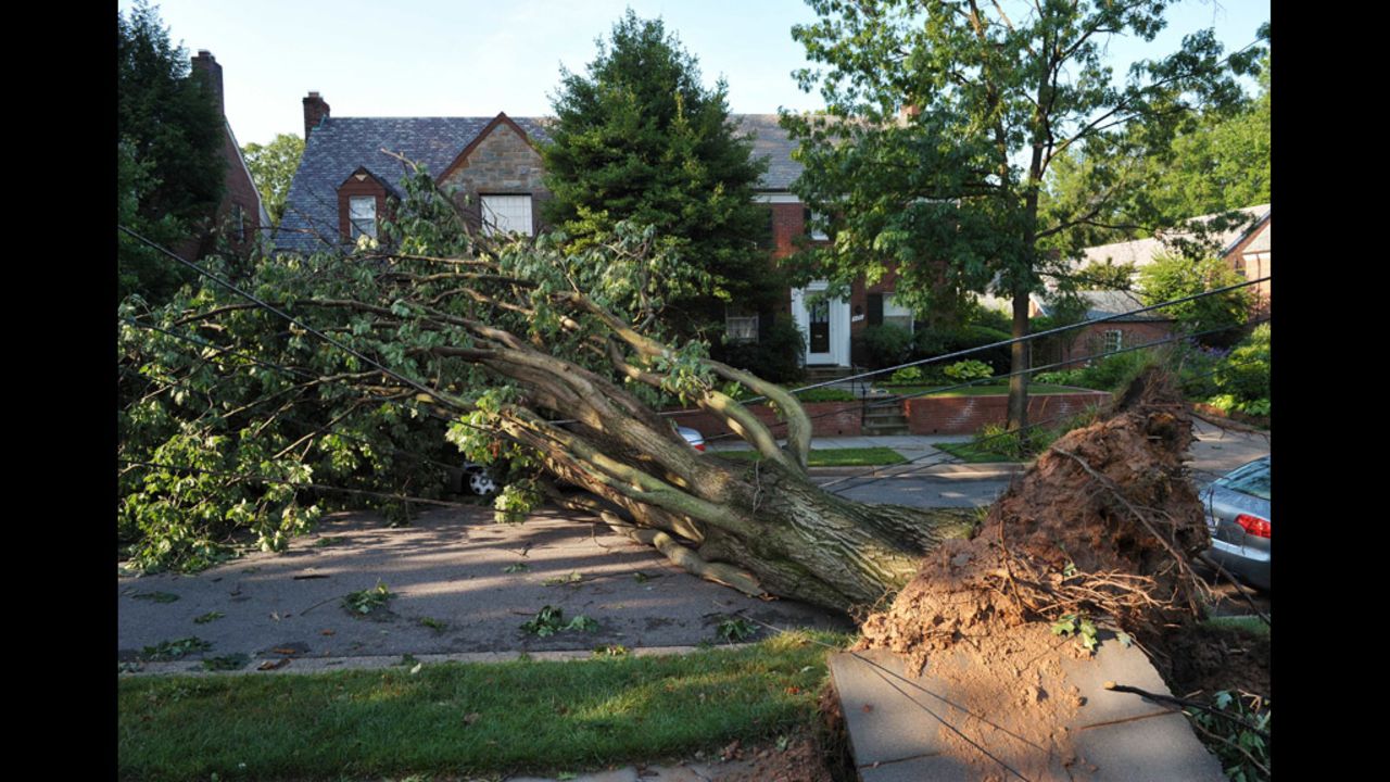 An uprooted tree blocks a street in the American University neighborhood of Washington.
