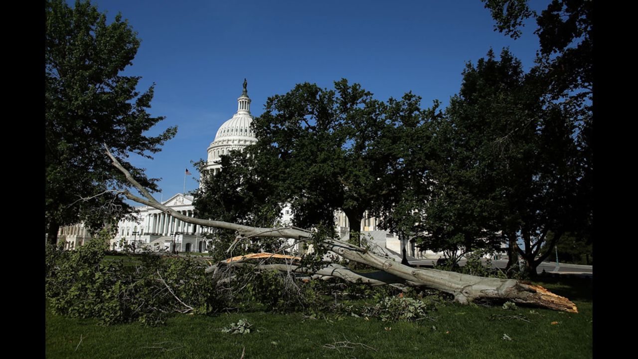 A fallen tree uprooted following heavy storms in the Washington area lies on the grounds of the U.S. Capitol on June 30, the morning after a violent storm swept through the area.