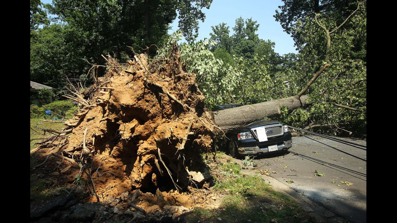 A downed tree damages a truck in Falls Church, Virginia.