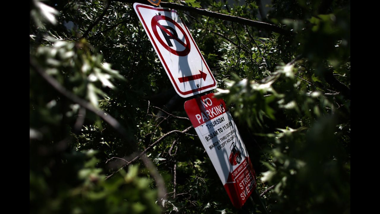 A No Parking sign is shown in the middle of a fallen tree in Washington's Shaw neighborhood.