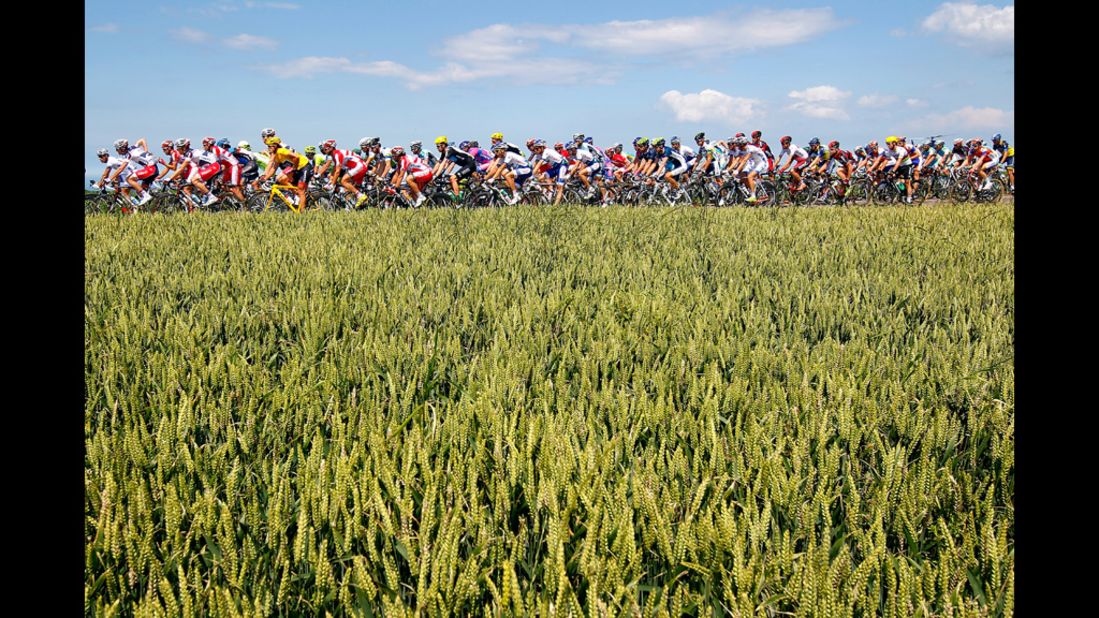 The peloton passes through wheat fields.