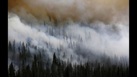 Trees smolder and burn on the north flank of the Fontenelle Fire. The crews are working and sleeping close to the fire in an effort to contain it.