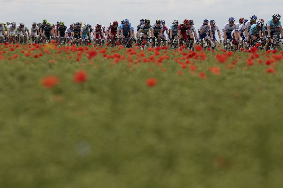Riders pass a field of poppies as they race through the French countryside Thursday.