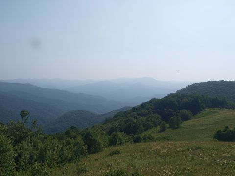 Many of the most famous parks in the world are among the U.S. National Park Service's 59 headliner national parks. Great Smoky Mountains National Park, which was the third most-popular park site in 2013 and 2014, was also the most popular national park for both years. Shown here is the view from Purchase Knob.