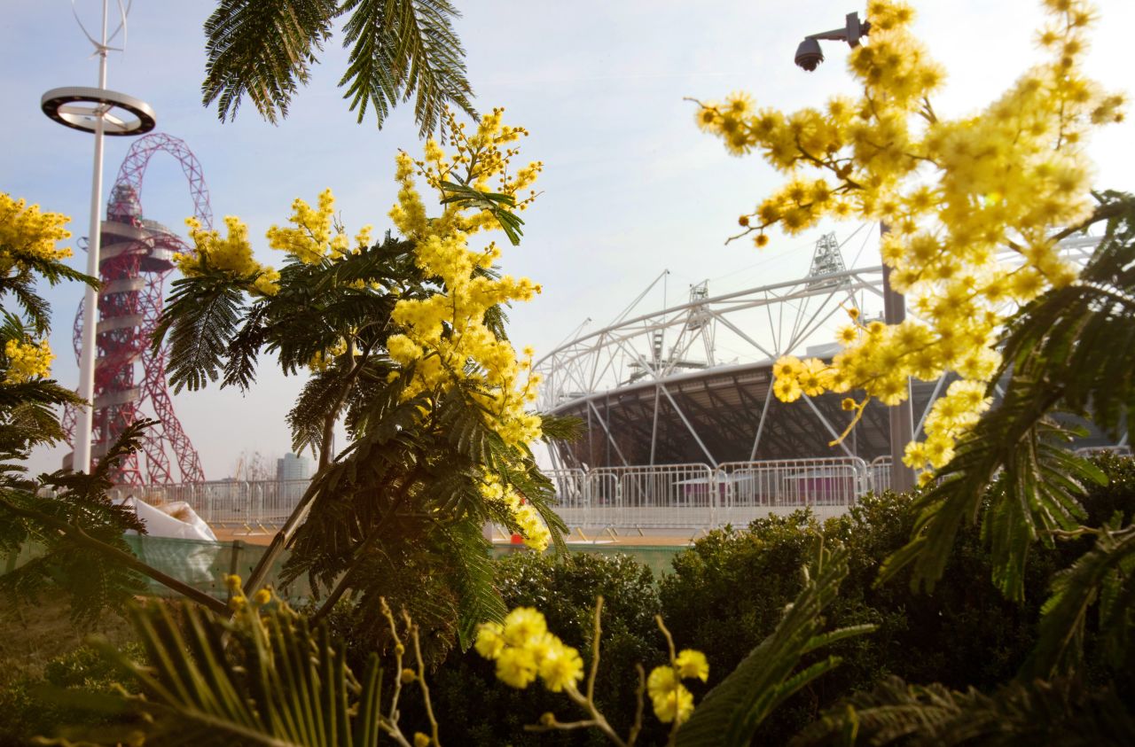 London 2012 organizers have transformed a neglected area of the East End into a green and sustainable Olympic Park.  
