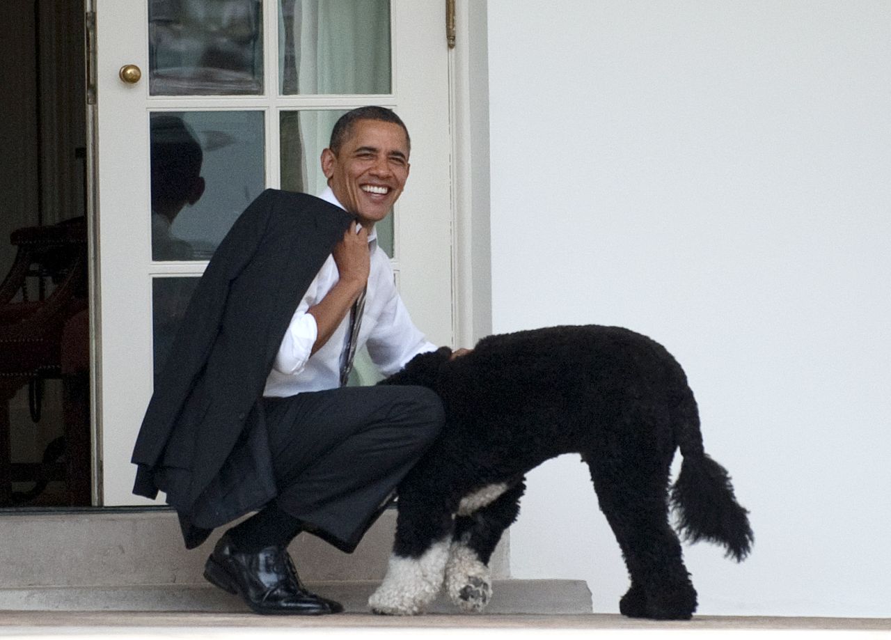 According to former U.S. President Harry Truman, "If you want a friend in Washington, get a dog." Luckily, dogs are permitted to accompany owners to work in the U.S. Congress.
