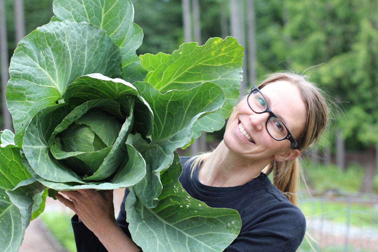 Mavis said her first cabbage of the season was anything but a disappointment. "Once you harvest your first crop, no matter what the size, you'll start to gain the confidence you need to expand your next garden and to try new things."