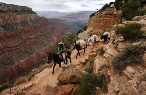 Consider a trip to Grand Canyon an adventure. 