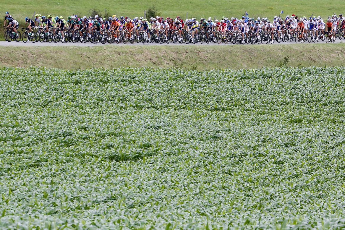 The main group of riders passes by a field during Sunday's stage, which consisted of two major climbs.