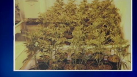 dnt ohio teen drug kingpin _00002005