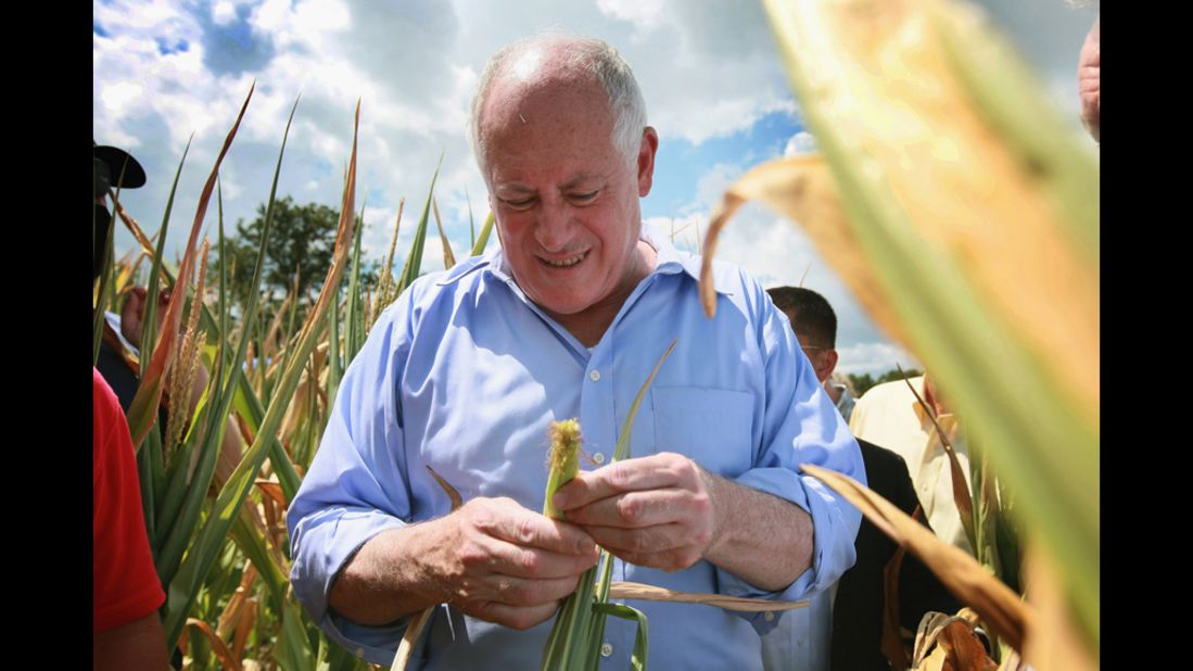 Illinois Gov. Pat Quinn examines a drought-damaged ear of corn near Waltonville, Illinois, on July 16.  