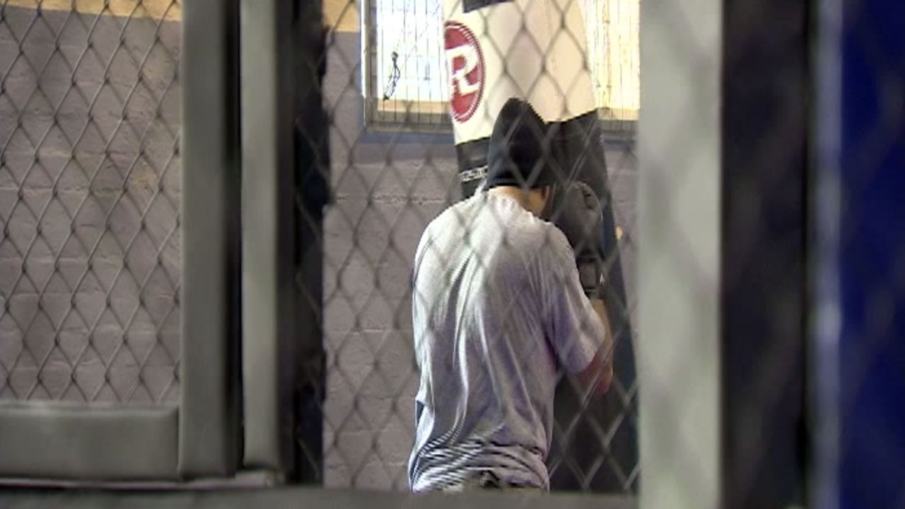 Abu Bakr Mansha, released from prison after a terror-linked conviction, trains in Usman Raja's gym.