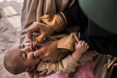 A three-month-old infant receives polio vaccination drops from his mother at a camp in Jalozai, Pakistan, in this picture taken July 13. 