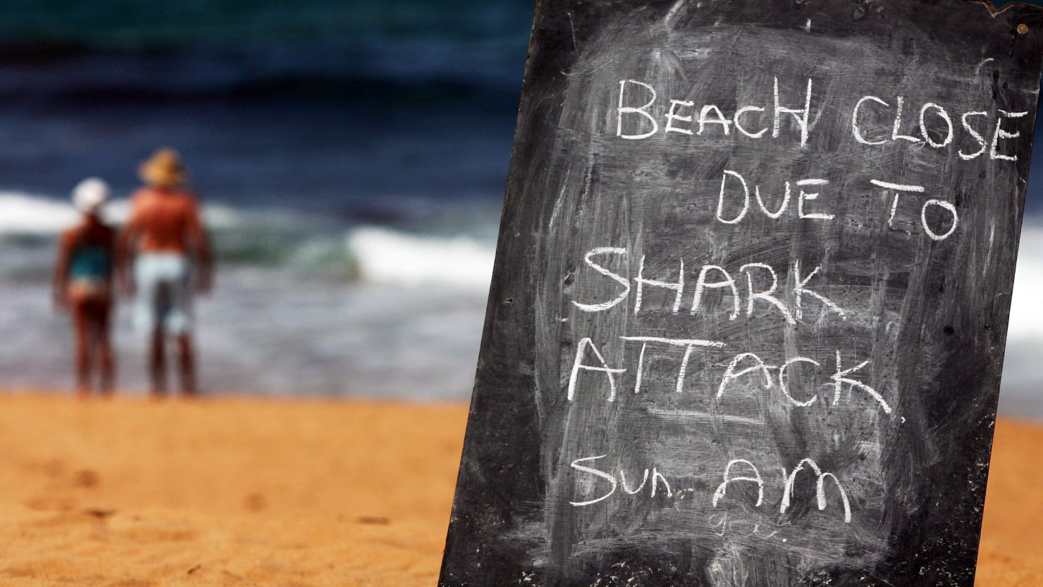 Sydney's Avalon Beach is pictured after a shark attack on a surfer on March 1, 2009.