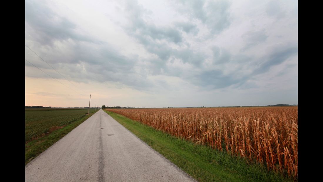 A field of corn shows the effects of the drought on a farm near Fritchton, Indiana, on Wednesday, July 17.  