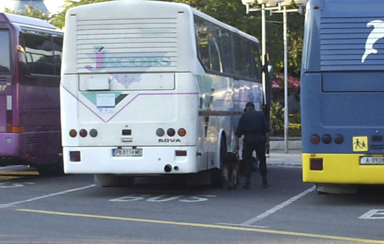 A police officer with a search dog examines buses for explosives.