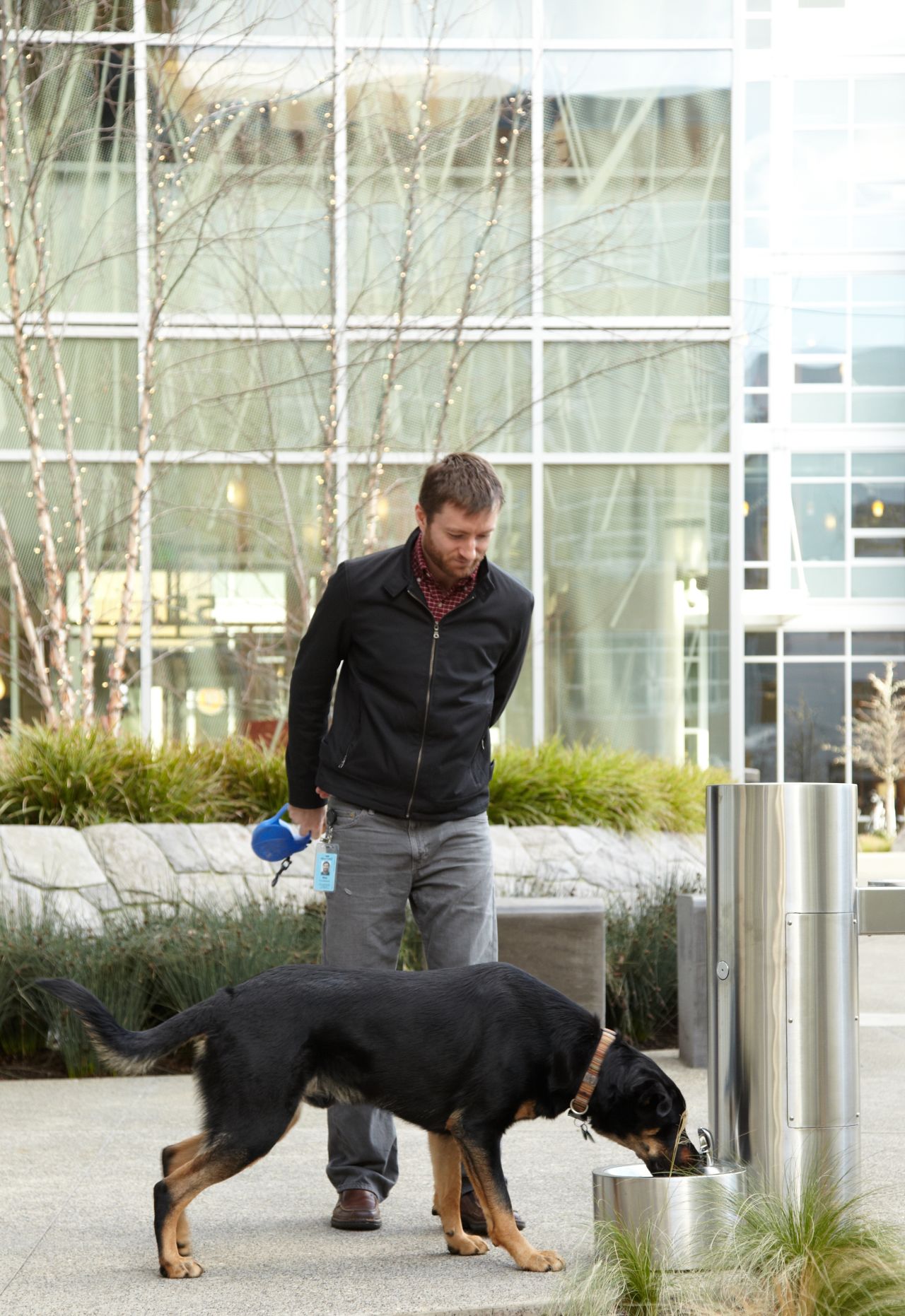 Hundreds of employees at Amazon's Seattle headquarters bring their dogs to work every day. The first dog at Amazon (a corgi named Rufus) has his name stamped on many of the door handles across campus. There are dog biscuits available at reception and here, Roscoe P. Coltrane enjoys one of the dog-friendly drinking fountains.