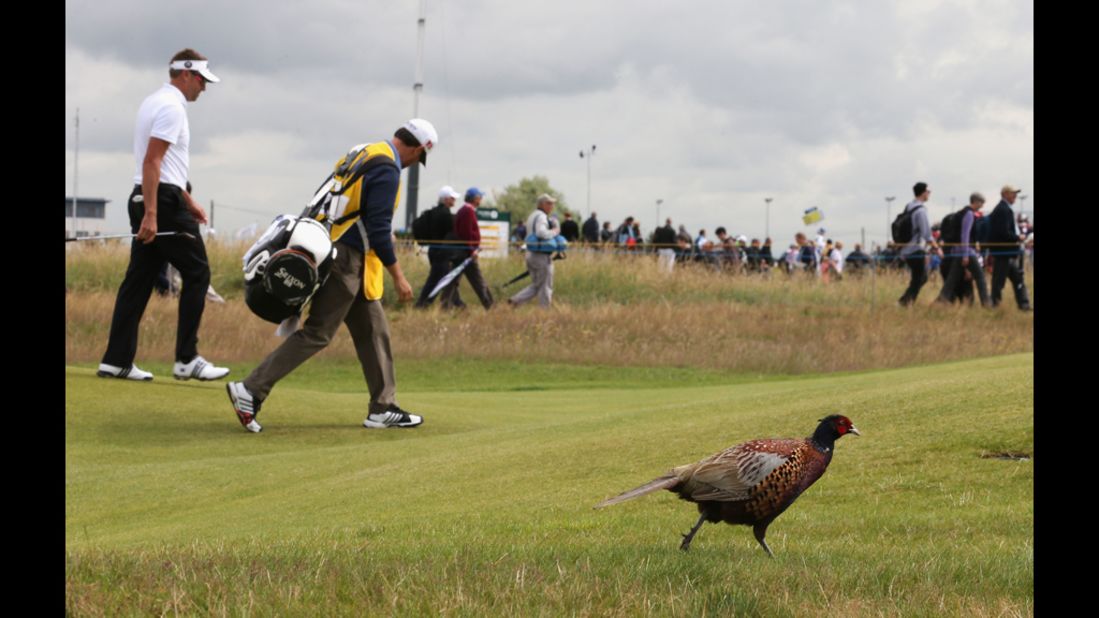 Robert Allenby of Australia and his caddy, Darren May, walk alongside a pheasant on the sixth fairway during the second round of the 141st Open Championship on Friday.