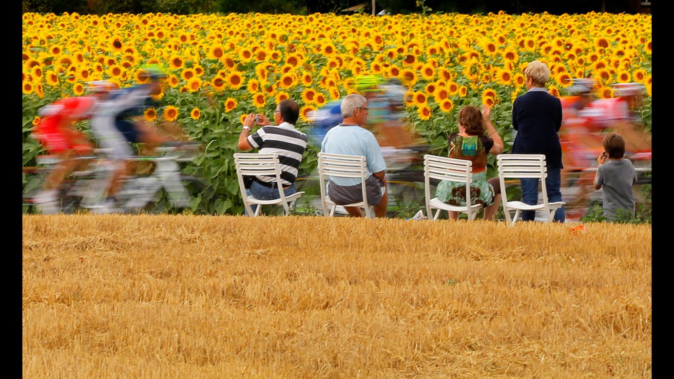 Fans watch as the peloton passes through sunflower fields on Friday.