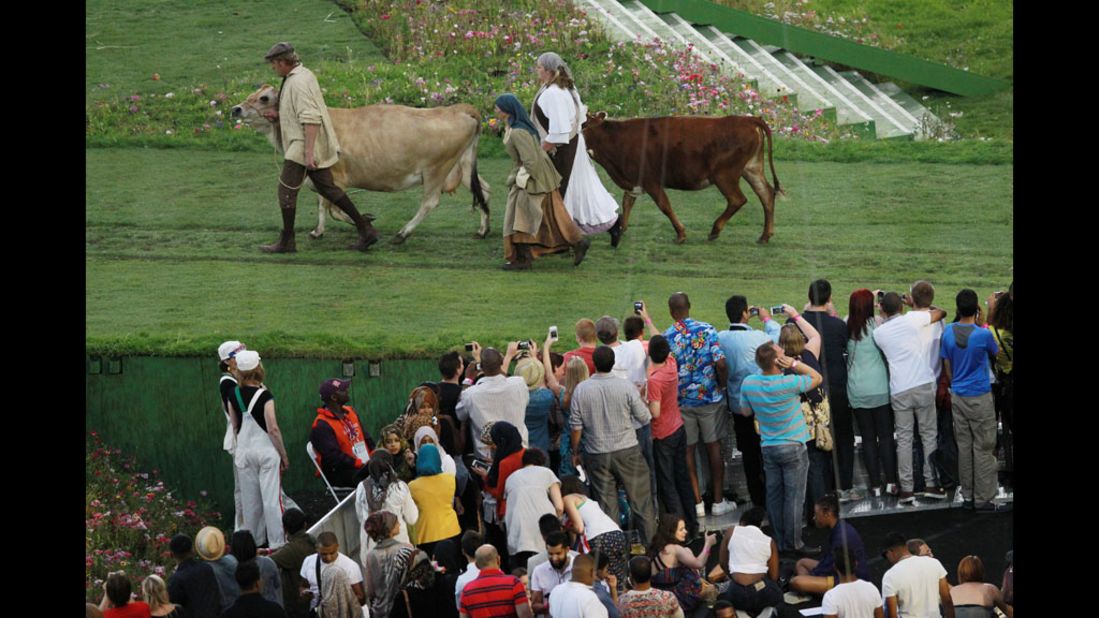 Fans take photos as cows are lead across the stadium floor.