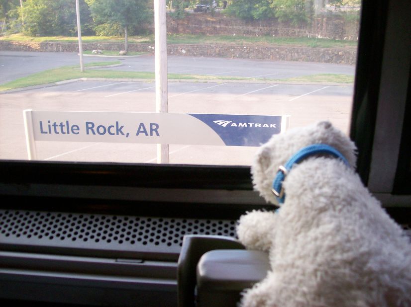 Bear rides Amtrak through Little Rock, Arkansas.