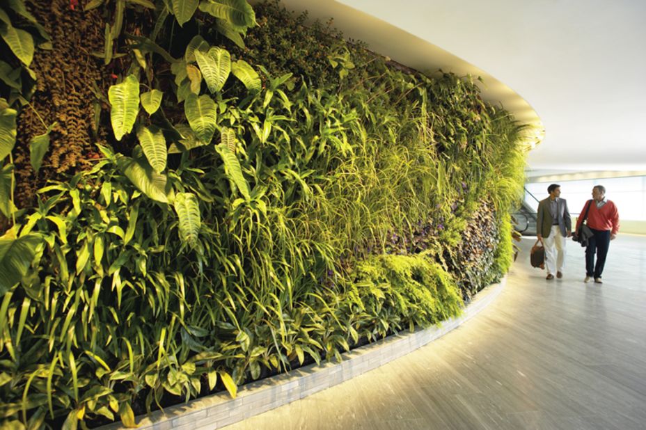 Qantas First Lounge at Sydney International Airport showcases a 98-foot, 8,400-plant vertical garden.