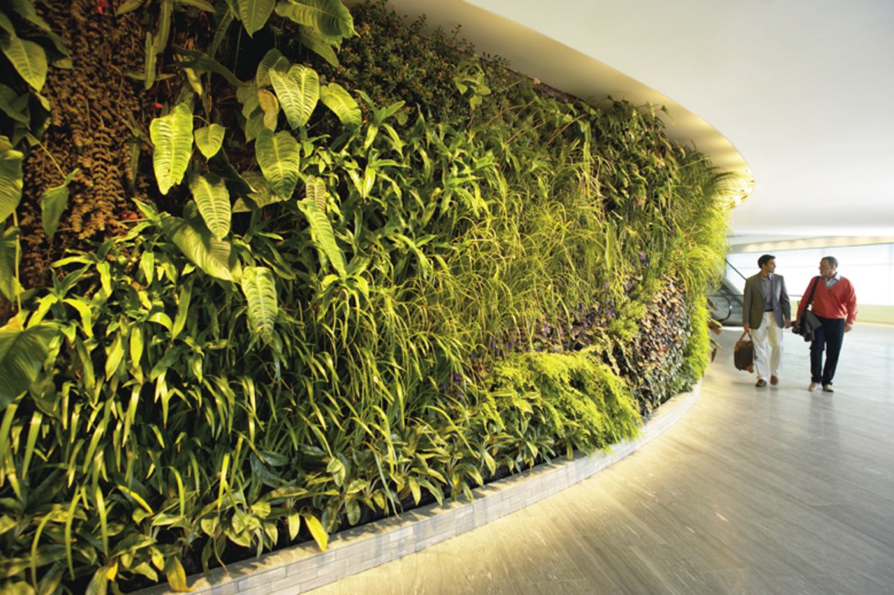 Qantas First Lounge at Sydney International Airport is home to a 98-foot, 8,400-plant vertical garden. The green installation forms part of the first class lounge facility's restaurant and day spa treatment rooms.