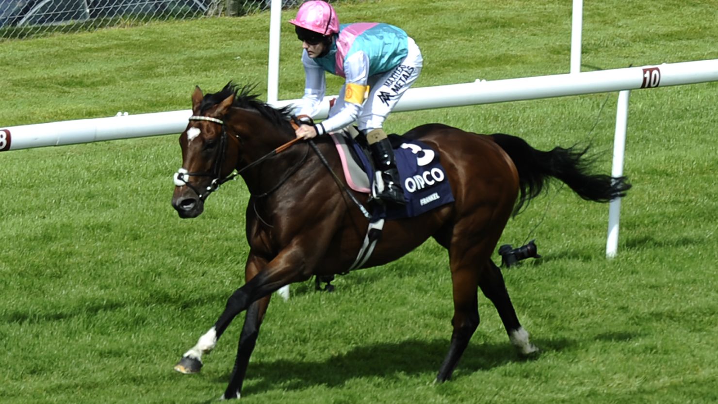 Tom Queally rode Frankel to victory at the Sussex Stakes at Goodwood racecourse in Chichester, England.