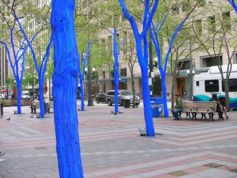 "The Blue Trees" is a part of a <a href="http://ireport.cnn.com/docs/DOC-795836">public art installation in Seattle, Washington</a>, in the downtown area. The art installation is by Australian artist, Konstantin Dimopoulos.