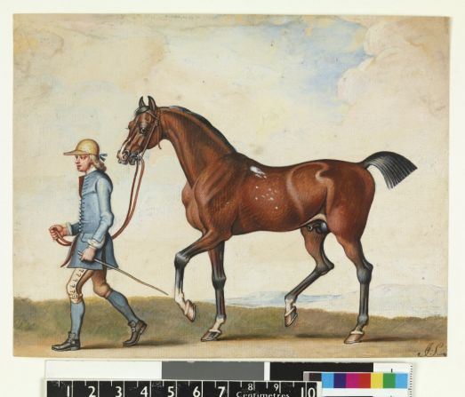 Sired by the Darley Arabian --one third of the thoroughbred stallion trifecta, along with the Godolphin Arabian and the Byerly Turk -- Flying Childers is often credited as the first true "great racehorse."He was retired to stud after winning all six of his races in the early 18th century. His British owner, the Duke of Devonshire, once reportedly received an offer to buy the stallion for the price of its weight in gold.