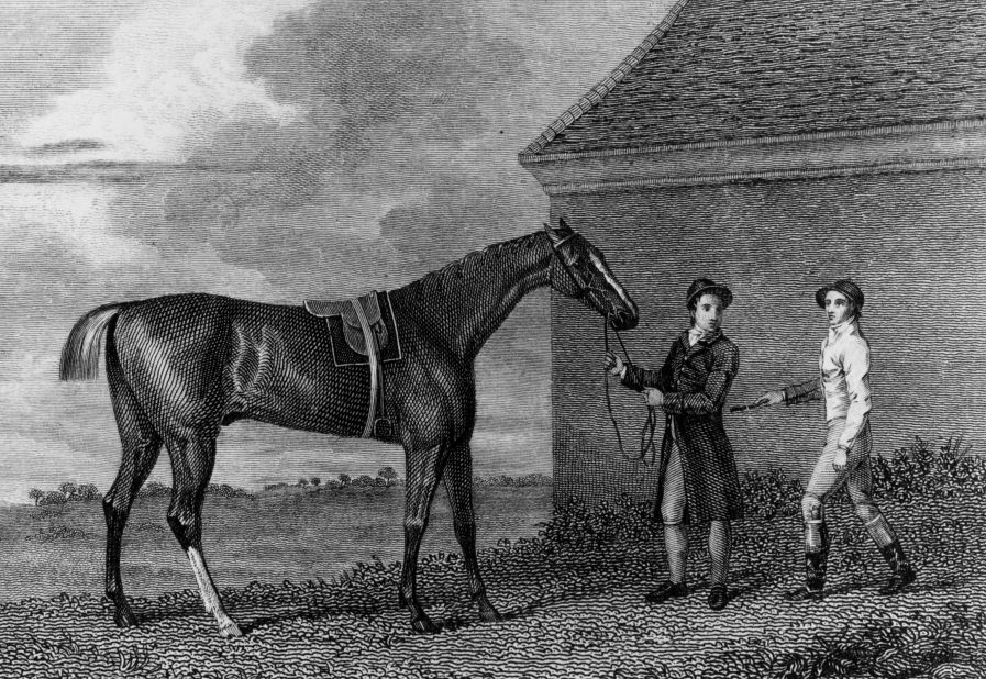 Grand foal of the Godolphin Arabian, Eclipse is perhaps the greatest thoroughbred ever to race. After 18 wins from 18 starts in only 17 months, Eclipse was retired to stud in 1771 due to lack of competition, as nobody would bet on the other horses. The Eclipse Stakes at England's Sandown Park are a testament to his legacy.