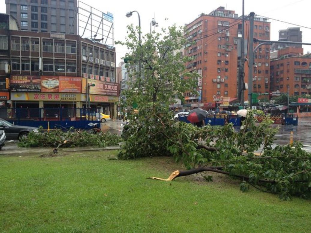 CNN iReporter Peter Chiang captured this image of uprooted trees after Typhoon Saola swept through Taiwan's capital. "Trees are uprooted everywhere here. Apart from that, in Taipei City it's largely fine, but outside the city there's a lot of flooding," Chiang said. 