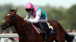 Frankel is unbeaten in 12 races and, under the stewardship of jockey Tom Queally, the four year-old has brought home winnings of just over $2.8 million for his owners. 