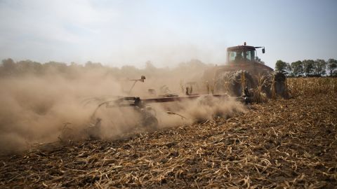A tractor cuts down corn in a field designated as zero-yield on a farm in Vigo County, Indiana, on Tuesday, July 31. The U.S. Department of Agriculture has declared more than half the counties in the country natural disaster areas as drought sears millions of acres of pasture and cropland.