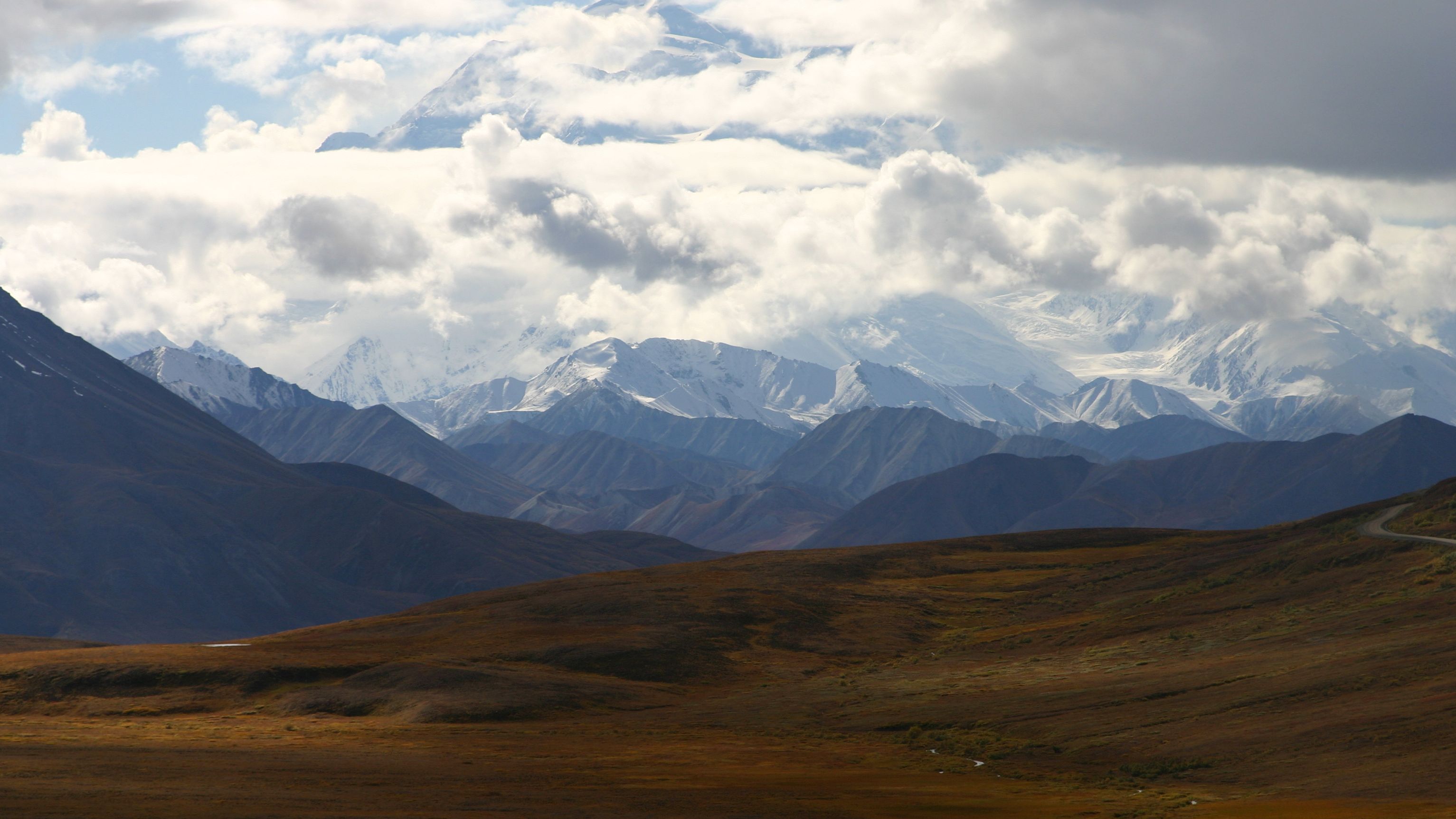 The area of Denali National Park where a bear killed a man Friday is closed "until further notice."