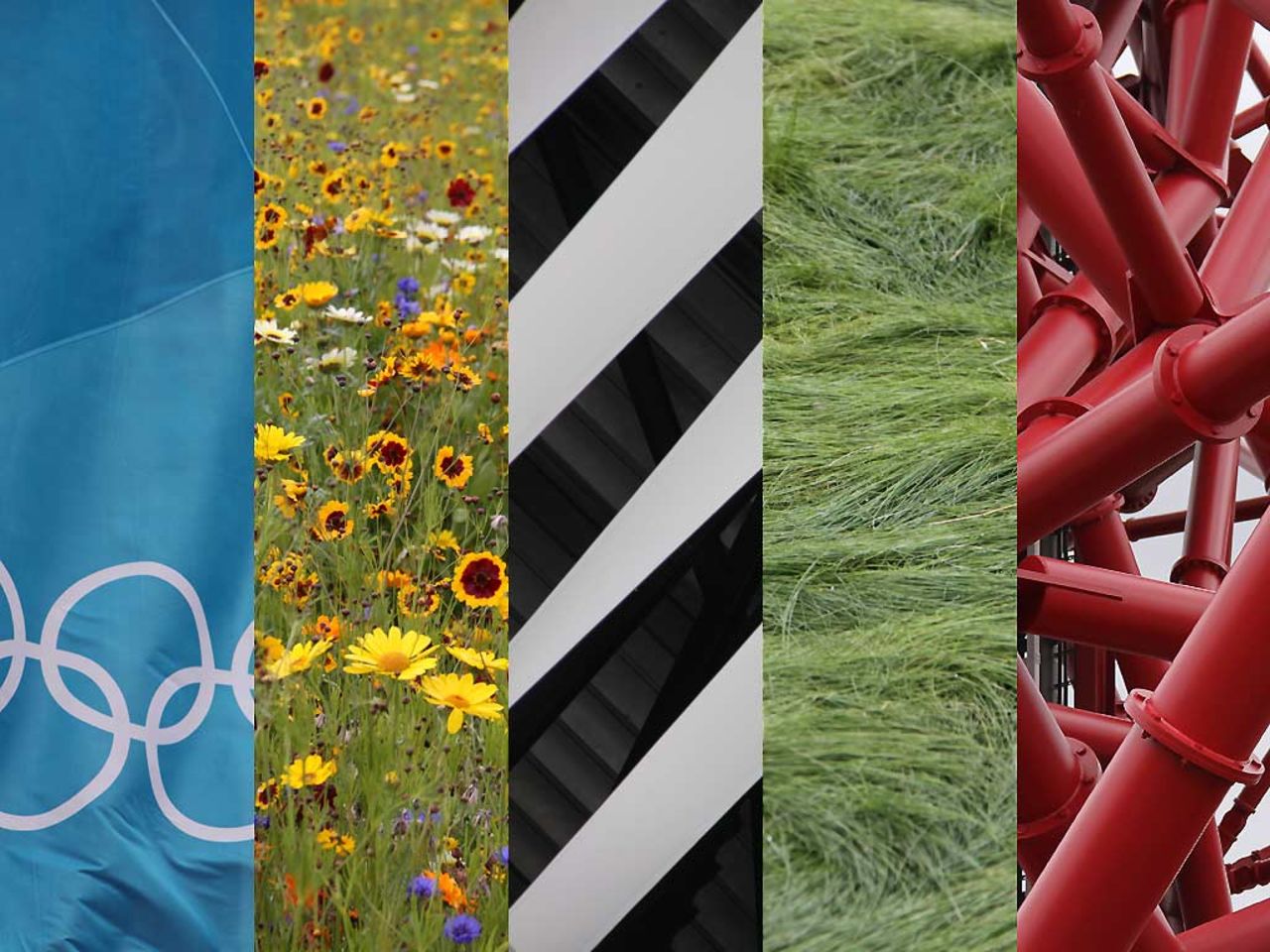 London's Olympic Park has transformed Stratford in east London. The area was once a post-industrial wasteland, blighted by pollution. Today it is a bright, colorful park.