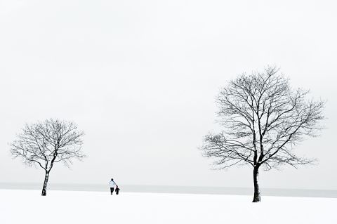 The literal contrast between white and black, and the size of the two people against two trees, allowed Peterson to play with depth of field and composition.