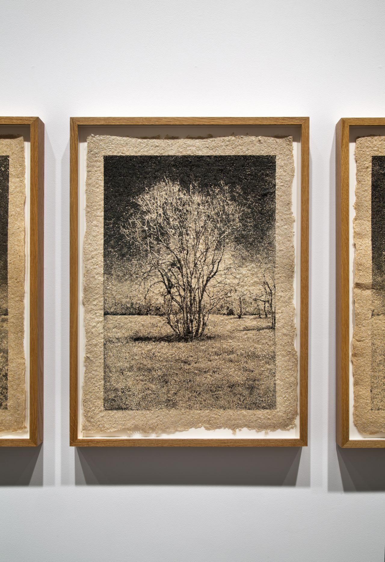 When photographing trees, Brandt has also used handmade paper using the wood from the park he's using as a location, like this silkscreen print of a tree in George Bush Park.