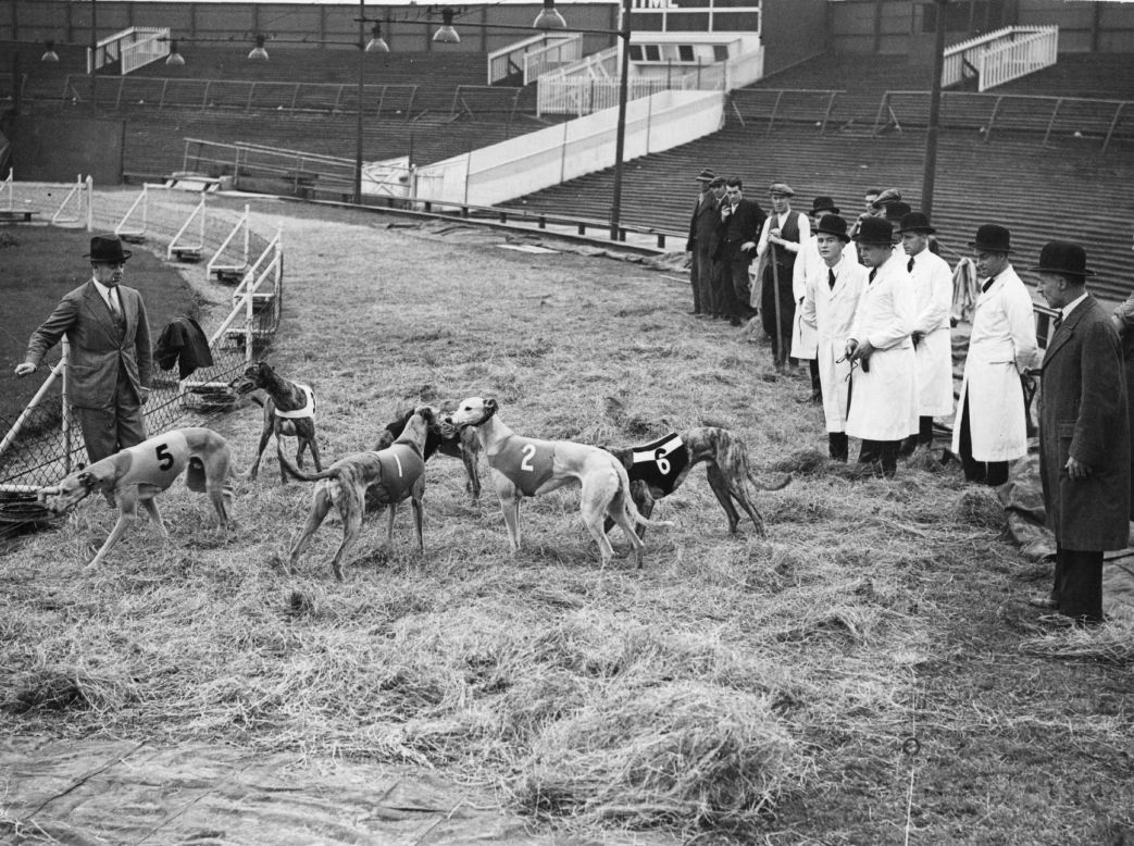 Greyhound racing was, with boxing and football, one of the chief spectator sports for 20th-century East Londoners. Here dogs are inspected in October 1938 at West Ham Stadium, where hay has been laid on the track due to bad weather. The venue also staged speedway, stock car racing and even baseball until, like many others, it fell victim to changing tastes and shut in the early 1970s (Getty Images).