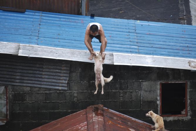 A Manila resident pulls his dog to a rooftop refuge. More than 800,000 people in and around the Philippines capital battle deadly floods as more rain falls, with neck-deep waters trapping both slum dwellers and the wealthy elite on rooftops.    