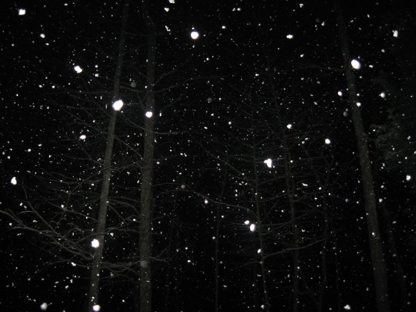 "A heavy snow after midnight turned our backyard into deep space, with trees," writes <a href="http://ireport.cnn.com/docs/DOC-825967">Brent Larson</a>. He stepped outside as it was snowing in Charlotte, North Carolina, "and was amazed by the sharp, cold silence, like life had just hit the reset button. I was trying to capture that feeling, but captured a surreal scene instead."