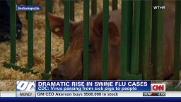 exp Cohen and swine flu cases in pigs_00001123