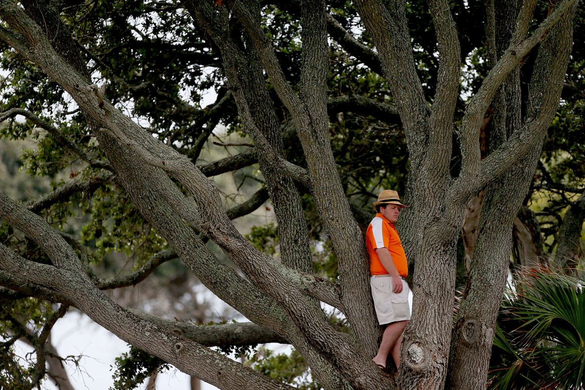  A spectator watches the players from a tree.