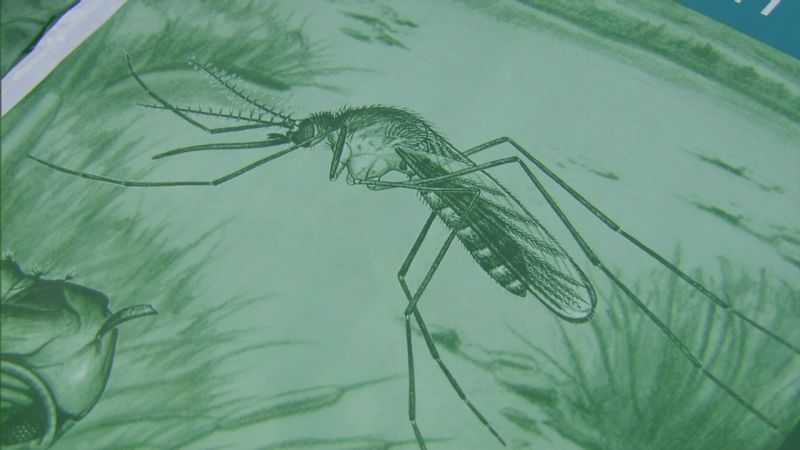 West Nile Virus Infections Rise Sharply CNN   120812122757 West Nile Virus Spike 00001311 