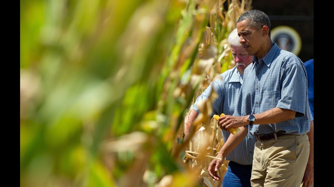 President Obama inspects a drought-stricken area of Missouri Valley, Iowa, with corn farmer Roger McIntosh on August 13 as he campaigns in the area. Since mid-June, corn prices have risen about 60% because of declining crop yields.