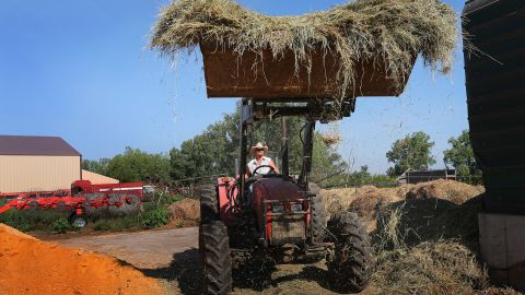 Jeremy Tilton adds hay to a feed mixer for cattle he raises on pastureland near Cuba, Illinois.