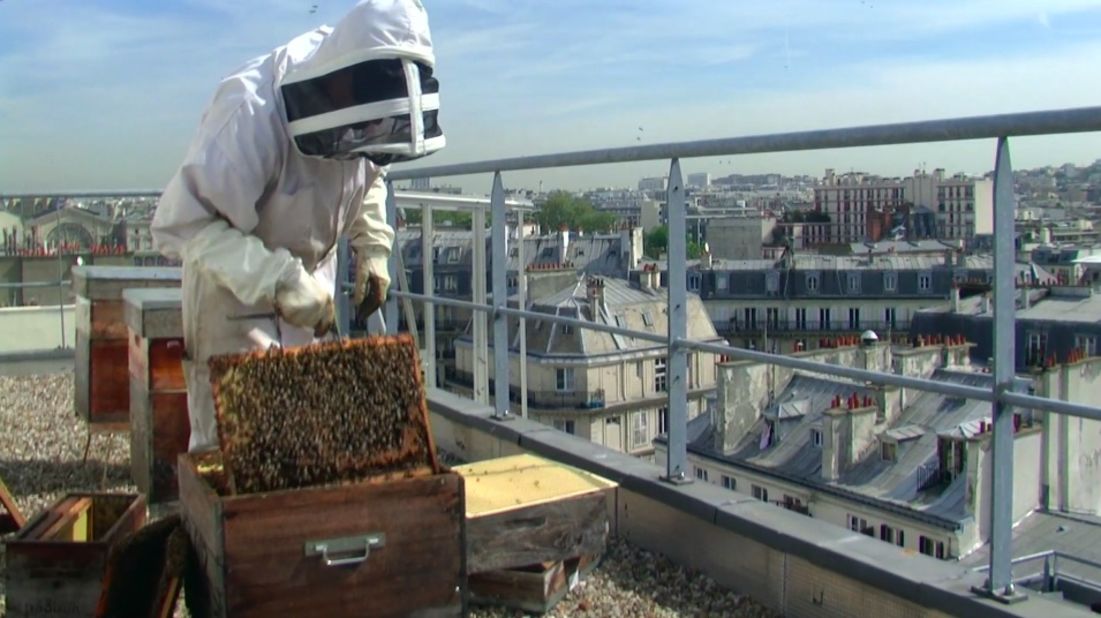 At Erra's agency BETC, they keep bees on a rooftop terrace. Erra, who has a Masters in Literature from the Sorbonne, says working in advertising is like studying literature. "It's the chance to understand people, and how to create something which can move people."