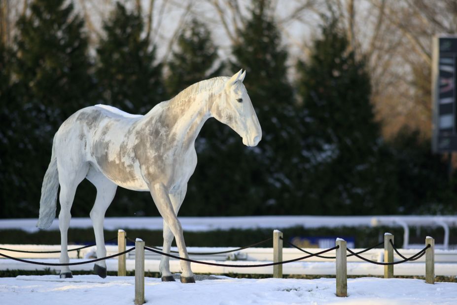 Dapple Gray Horse Facts with Pictures