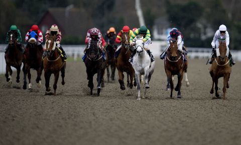 Sakhee Pearl, ridden by Ian Mongan, claims victory in a handicap race at England's Kempton Park racecourse in 2011. 
