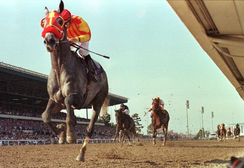Champion American gray Skip Away won nearly $10 million in prize money and scored a runaway victory in the 1997 Breeders' Cup Classic.  